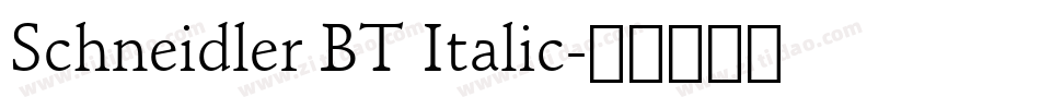 Schneidler BT Italic字体转换